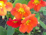 DSCN2775.JPG