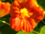 DSCN2778.JPG