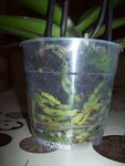 100_3214.JPG