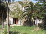 SDC11537.JPG