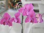 IMG_4306_PhotoRedukto.jpg