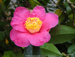 DSC08352.JPG