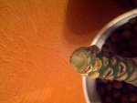 IMG-20111209-00132.jpg