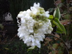 DSCN2789.JPG