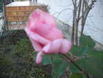 DSCN2790.JPG