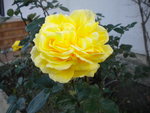 DSCN2791.JPG