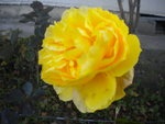 DSCN2792.JPG