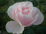 DSCN2793.JPG