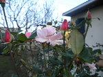 DSCN2794.JPG