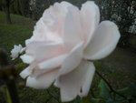 DSCN2795.JPG