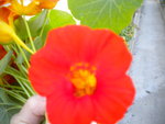 DSCN2800.JPG