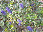 DSCN2799.JPG
