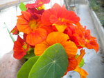 DSCN2801.JPG