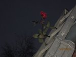 2011-12-10 perdue x.jpg
