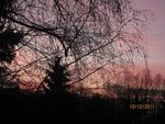 2011-12-10  à 17h x.jpg