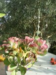 DSCN4875.JPG