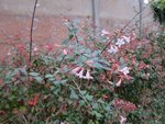 IMG_0003.JPG
