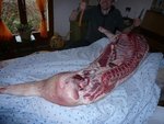 c'est la fête du cochon.jpg