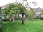 IMG_2332_c.JPG