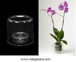 cache-pot transparent pour orchidées.JPG