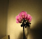 IMG_0109.JPG