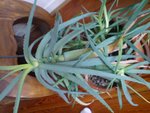 DSC01587.JPG