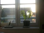 Photo 059.jpg