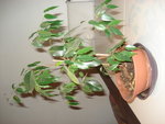 DSC05055.JPG