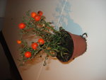 DSC05059.JPG