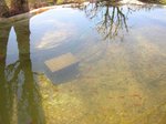 bassin2.jpg