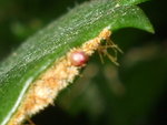 DSCF7383.JPG