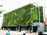 greenwall-halles.jpg