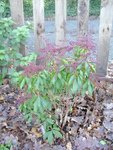 DSC02365.JPG