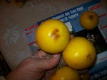 Photode  bagé 057.jpg