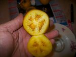 Photode  bagé 058.jpg