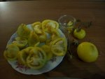 Photode  bagé 060.jpg
