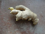DSC00886.JPG