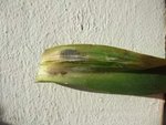 DSCF6664_ok-1.JPG
