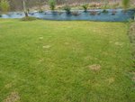 P1090912Low.jpg