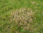 P1090912Low-b.jpg