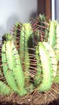 DSC017502.jpg
