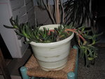 P1120108.JPG