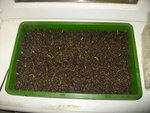 Photo 068.jpg