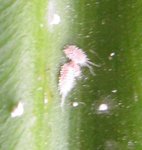 img_4406.jpg