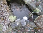 2012-01-15 gelée 6x.jpg