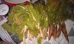 ma récolte d'hier