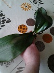 Photo00033.jpg