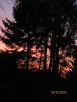 2012-01-16  1x.jpg