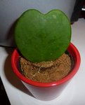 p1020111.jpg