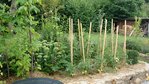 potager2010.JPG